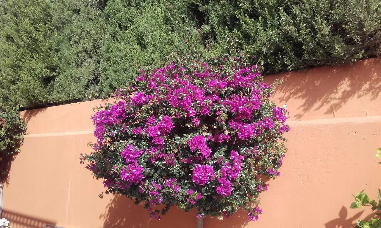 Hacienda El Retamar Villa Benalmadena Spain
